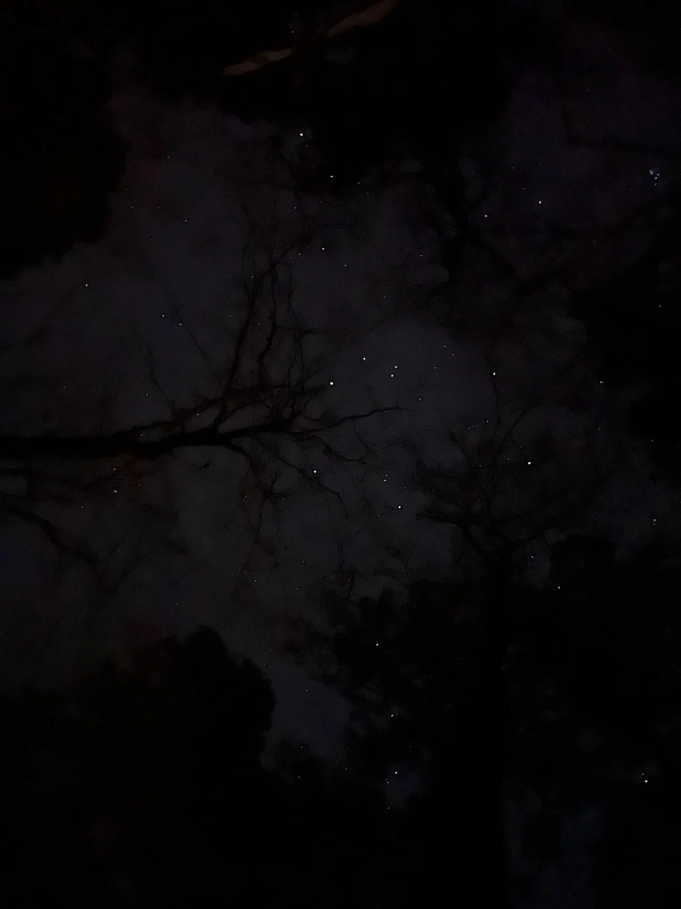 Backpacking - Lonestar Trail 2023 — troop photo 6