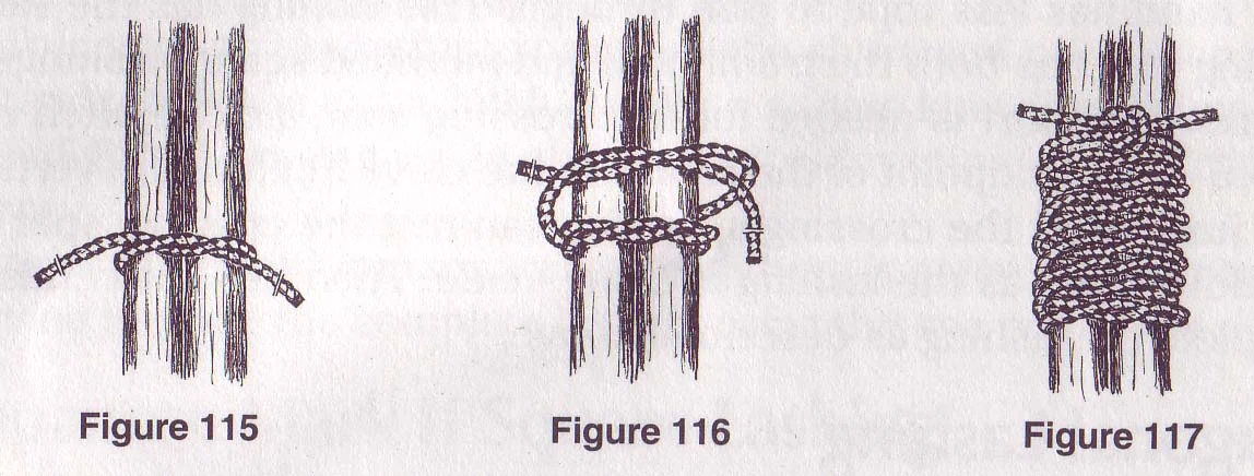 Round Lash illustration
