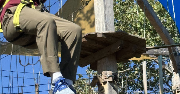 A participant on the Go Ape ropes course
